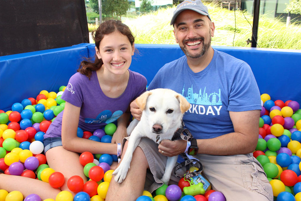 photo of two people in ball pit with dog